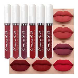 6 Pcs Matte Liquid Lipstick